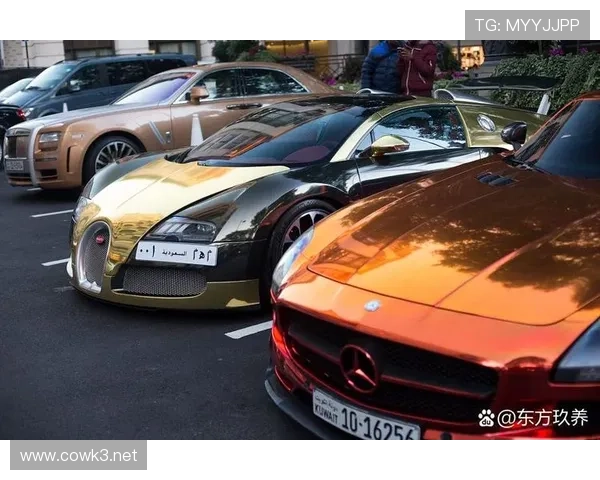 冯彦哲刚买了个天价豪车，朋友圈炸锅了，这生活谁带得动？